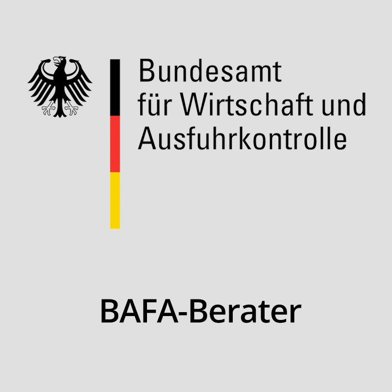 bafa-berater-gross-2